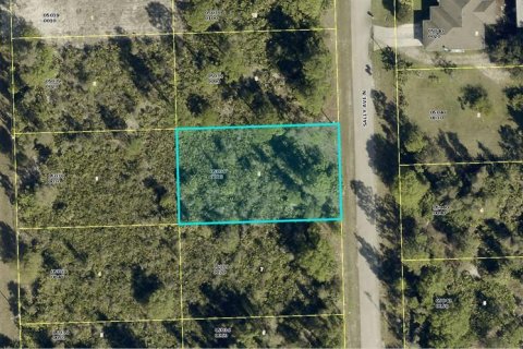Land in Lehigh Acres, Florida № 2167722