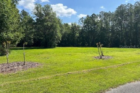 Terreno en venta en Worthington Springs, Florida № 1137512 - foto 3