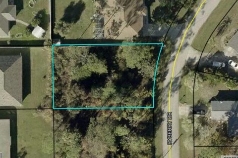 Terreno en Palm Coast, Florida № 2150543