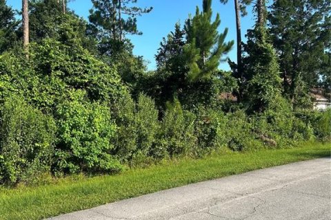 Terreno en venta en Palm Coast, Florida № 2150543 - foto 9