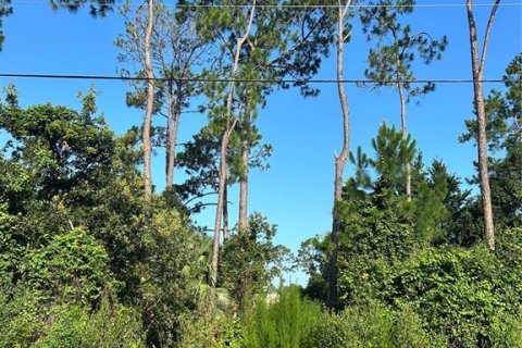 Terreno en venta en Palm Coast, Florida № 2150543 - foto 6