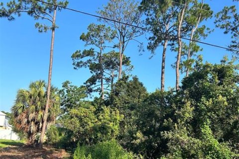 Terreno en venta en Palm Coast, Florida № 2150543 - foto 3