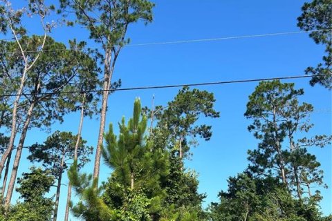 Terreno en venta en Palm Coast, Florida № 2150543 - foto 5