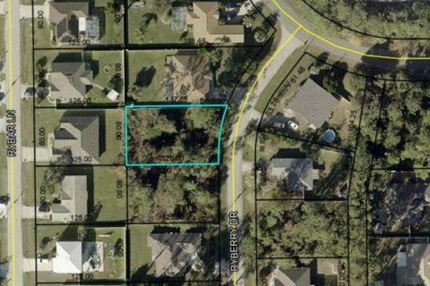 Terreno en venta en Palm Coast, Florida № 2150543 - foto 4