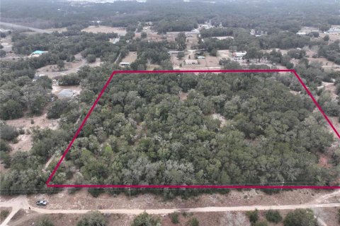 Terreno en venta en Ocala, Florida № 1554908 - foto 4