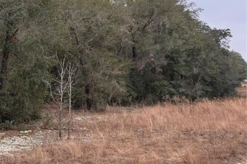 Terreno en venta en Ocala, Florida № 1554908 - foto 7