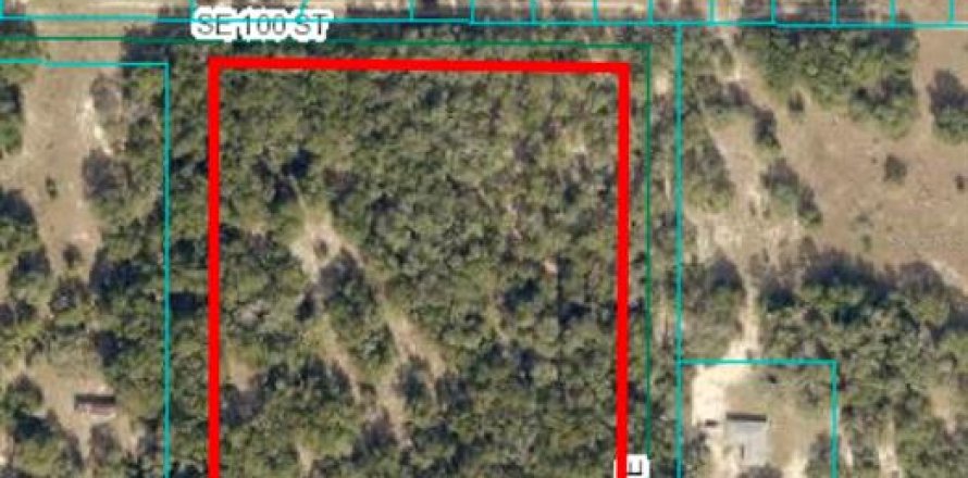 Terreno en Ocala, Florida № 1554908