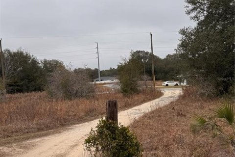 Terreno en venta en Ocala, Florida № 1554908 - foto 6
