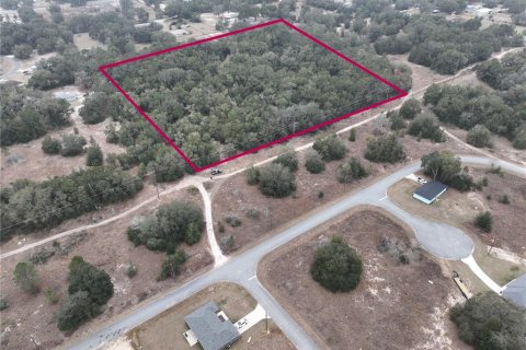 Terreno en venta en Ocala, Florida № 1554908 - foto 3