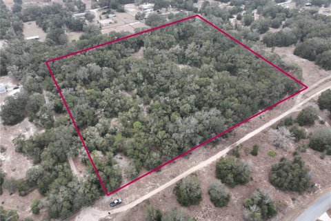 Terreno en venta en Ocala, Florida № 1554908 - foto 2