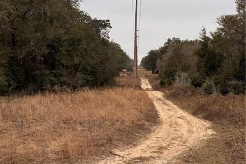 Terreno en venta en Ocala, Florida № 1554908 - foto 8