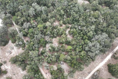 Terreno en venta en Ocala, Florida № 1554908 - foto 5