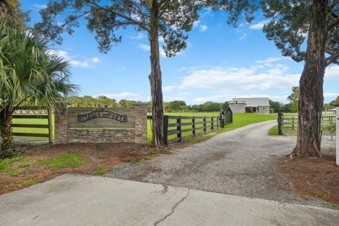 Villa ou maison à New Smyrna Beach, Floride 4 chambres, 372.17 m2 № 2408139