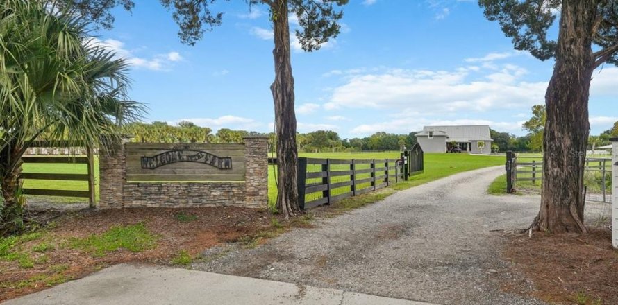 Villa ou maison à New Smyrna Beach, Floride 4 chambres, 372.17 m2 № 2408139