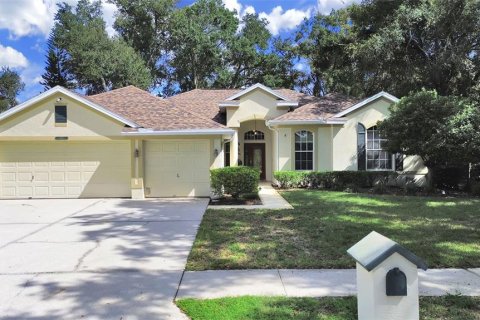 Villa ou maison à Tampa, Floride 4 chambres, 238.67 m2 № 2419779