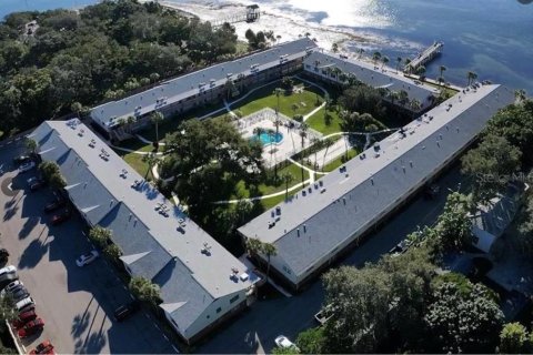 Condo in Saint Petersburg, Florida, 1 bedroom № 2386220