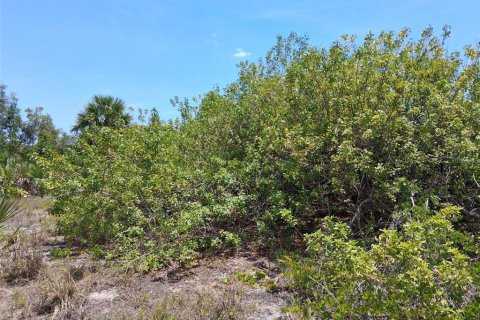 Land in Port Charlotte, Florida № 2164769 - photo 6