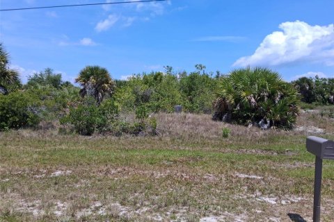 Land in Port Charlotte, Florida № 2164769