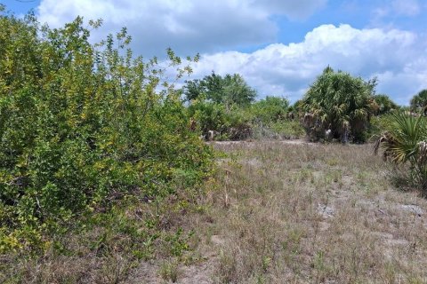 Land in Port Charlotte, Florida № 2164769 - photo 4