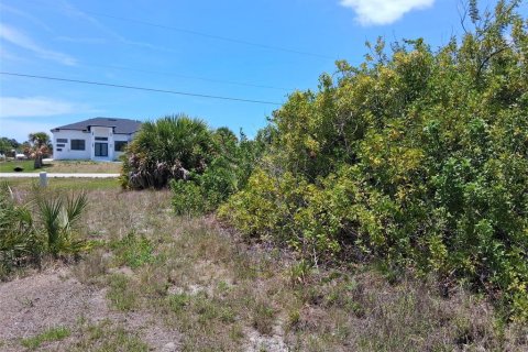 Land in Port Charlotte, Florida № 2164769 - photo 3