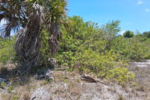 Land in Port Charlotte, Florida № 2164769 - photo 7