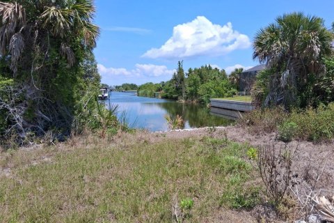 Land in Port Charlotte, Florida № 2164769 - photo 2