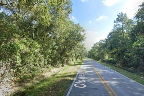 Land in Davenport, Florida № 1751084 - photo 2