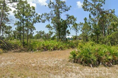 Land in Placida, Florida № 2164657