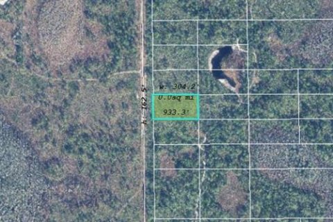 Land in Orlando, Florida № 2219140 - photo 3