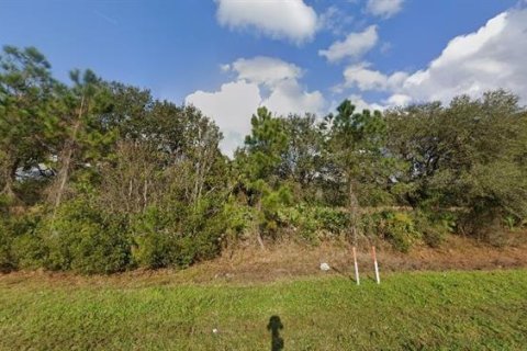 Land in Orlando, Florida № 2219140 - photo 4