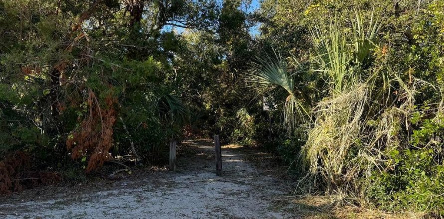 Land in New Smyrna Beach, Florida № 1569868