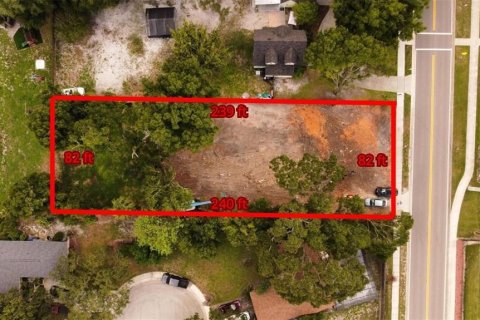 Land in Ocoee, Florida № 2364304