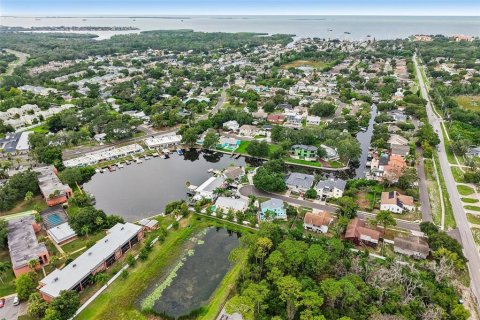 Condominio en venta en Palm Harbor, Florida, 1 dormitorio, 81.29 m2 № 2284856 - foto 28