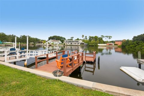 Condo in Palm Harbor, Florida, 1 bedroom  № 2284856