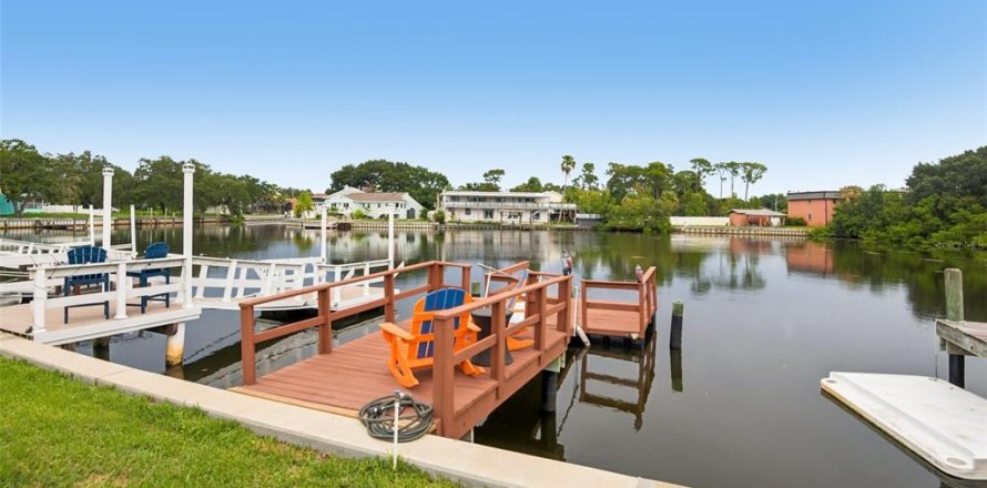 Condominio en Palm Harbor, Florida, 1 dormitorio № 2284856