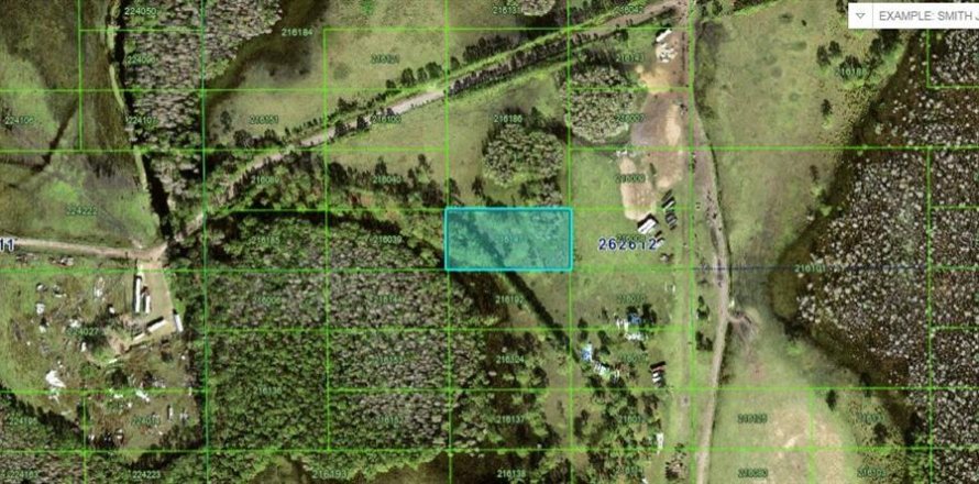Terreno en Davenport, Florida № 2234919