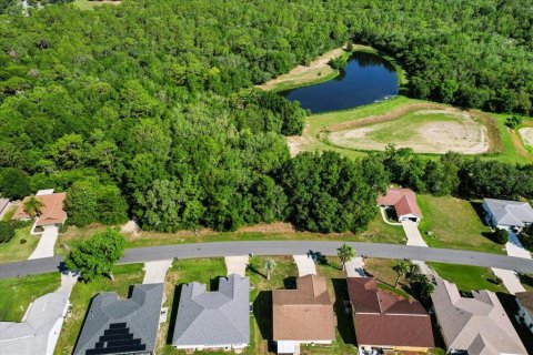 Land in Beverly Hills, Florida № 2160352 - photo 5
