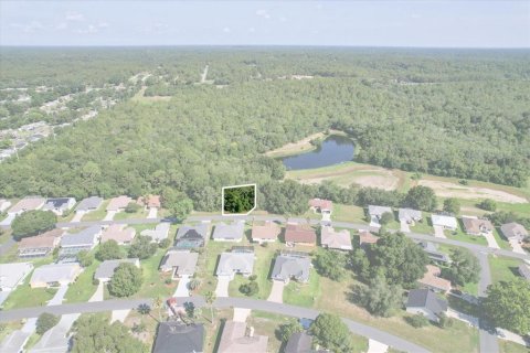 Land in Beverly Hills, Florida № 2160352 - photo 2