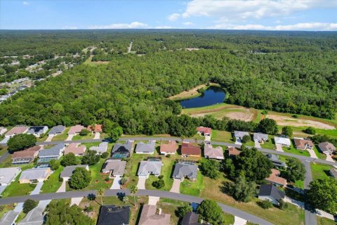 Land in Beverly Hills, Florida № 2160352 - photo 7