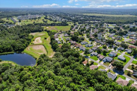 Land in Beverly Hills, Florida № 2160352 - photo 9
