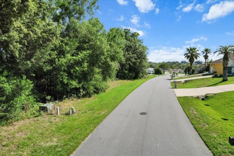 Land in Beverly Hills, Florida № 2160352 - photo 4