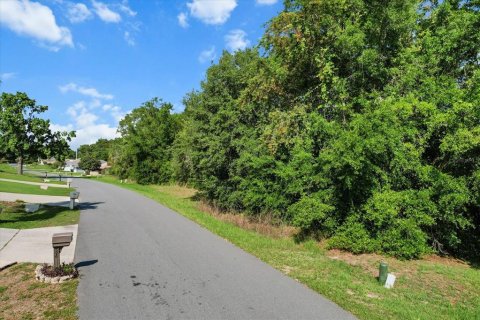 Land in Beverly Hills, Florida № 2160352 - photo 3