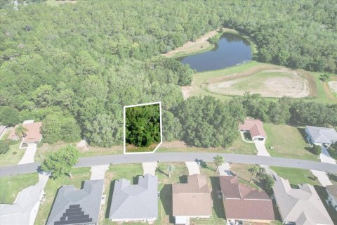 Terrain à Beverly Hills, Floride № 2160352