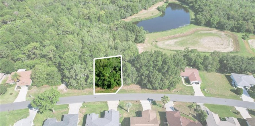 Land in Beverly Hills, Florida № 2160352