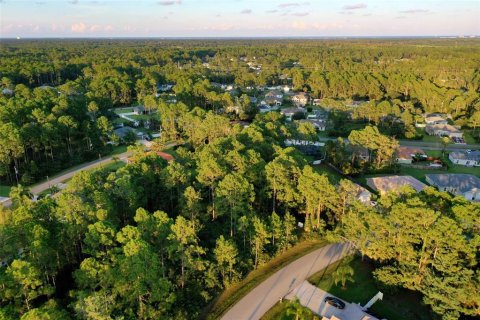 Terrain à vendre à Palm Coast, Floride № 1383304 - photo 4
