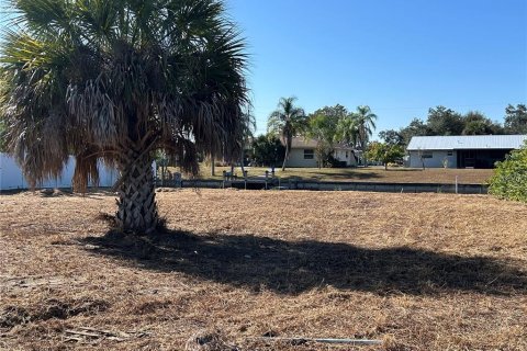Land in Punta Gorda, Florida № 2106028 - photo 3