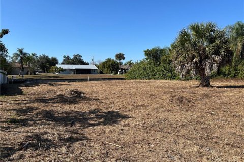 Terrain à Punta Gorda, Floride № 2106028