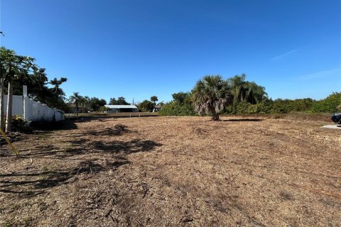 Land in Punta Gorda, Florida № 2106028 - photo 4