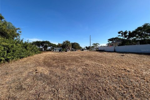 Land in Punta Gorda, Florida № 2106028 - photo 10