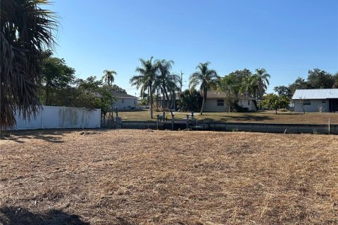 Land in Punta Gorda, Florida № 2106028 - photo 11